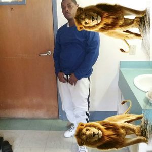 Meet your Posher, Preston